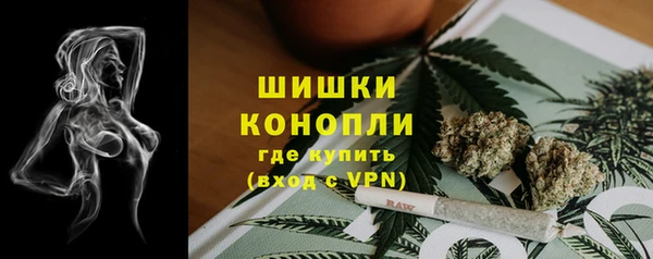 экстази Ельня