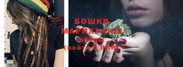 индика Киренск