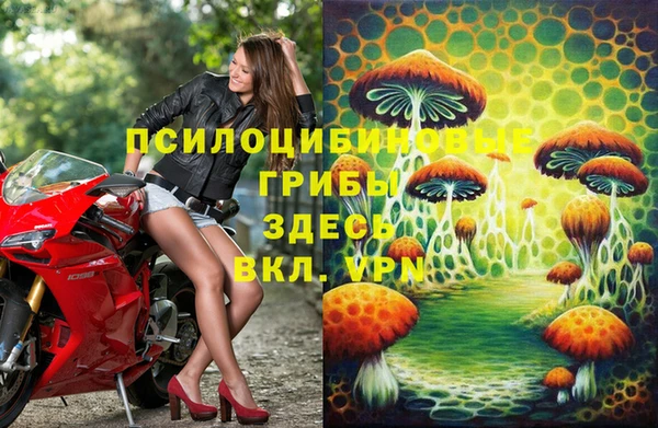 экстази Ельня
