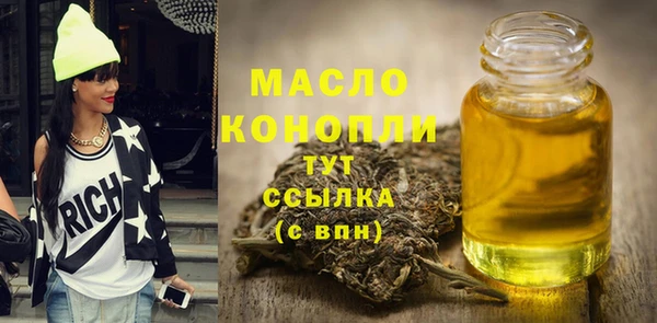 индика Киренск